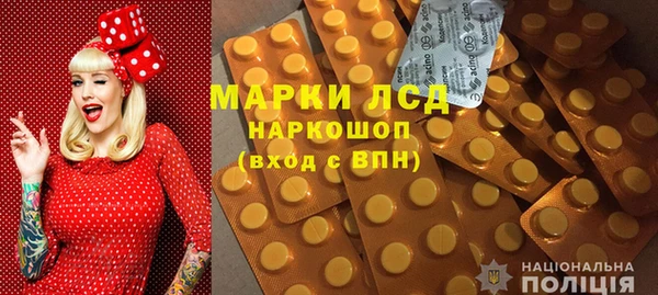 шишки Каменка