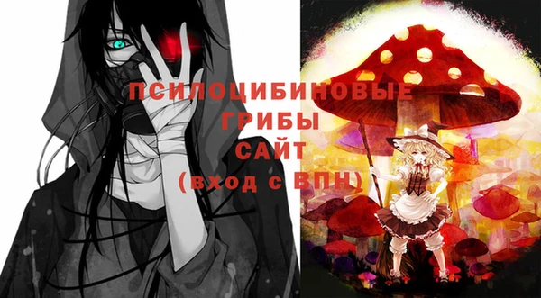 первитин Богданович
