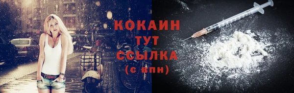 первитин Богданович