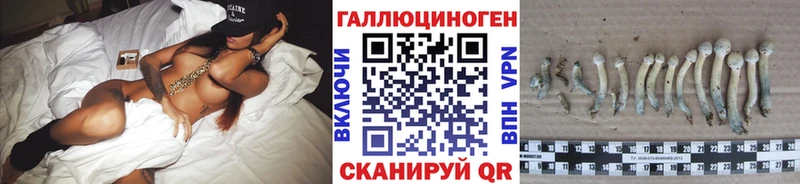 Псилоцибиновые грибы мицелий  Будённовск 