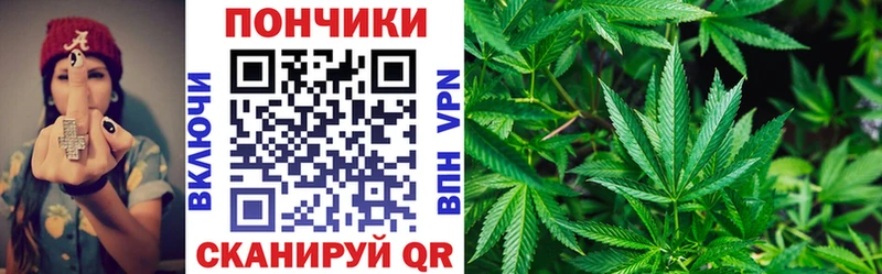 даркнет сайт  Будённовск  Бошки Шишки SATIVA & INDICA 